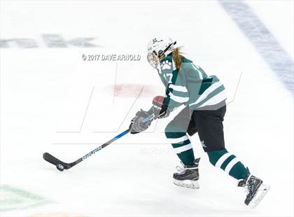 Thumbnail 2 in Notre Dame Academy vs. Canton (MIAA Division 2 Final) photogallery.