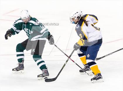 Thumbnail 2 in Notre Dame Academy vs. Canton (MIAA Division 2 Final) photogallery.