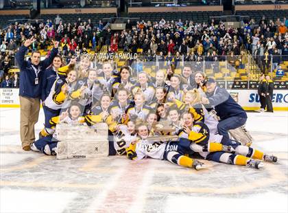 Thumbnail 2 in Notre Dame Academy vs. Canton (MIAA Division 2 Final) photogallery.