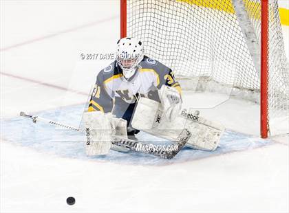 Thumbnail 1 in Notre Dame Academy vs. Canton (MIAA Division 2 Final) photogallery.