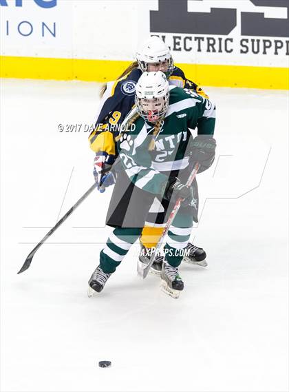 Thumbnail 3 in Notre Dame Academy vs. Canton (MIAA Division 2 Final) photogallery.