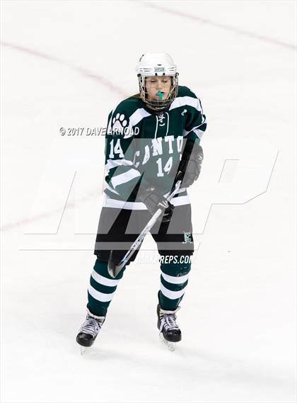 Thumbnail 2 in Notre Dame Academy vs. Canton (MIAA Division 2 Final) photogallery.