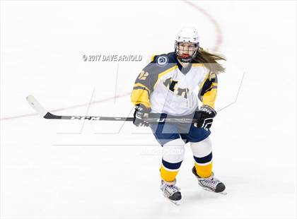 Thumbnail 2 in Notre Dame Academy vs. Canton (MIAA Division 2 Final) photogallery.