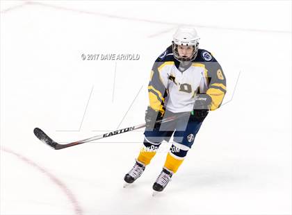 Thumbnail 1 in Notre Dame Academy vs. Canton (MIAA Division 2 Final) photogallery.