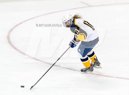 Thumbnail 3 in Notre Dame Academy vs. Canton (MIAA Division 2 Final) photogallery.