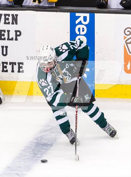 Thumbnail 3 in Notre Dame Academy vs. Canton (MIAA Division 2 Final) photogallery.