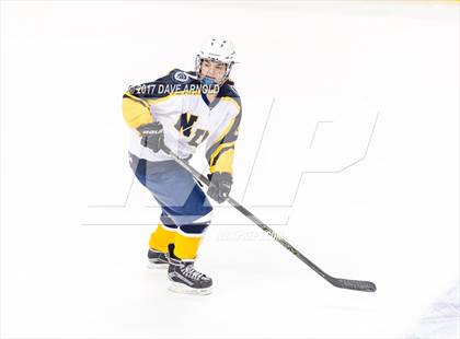 Thumbnail 1 in Notre Dame Academy vs. Canton (MIAA Division 2 Final) photogallery.
