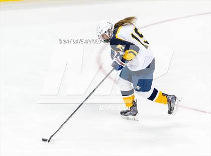 Thumbnail 1 in Notre Dame Academy vs. Canton (MIAA Division 2 Final) photogallery.