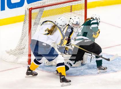 Thumbnail 2 in Notre Dame Academy vs. Canton (MIAA Division 2 Final) photogallery.