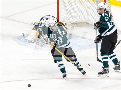Thumbnail 1 in Notre Dame Academy vs. Canton (MIAA Division 2 Final) photogallery.