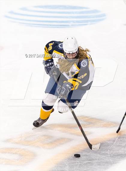 Thumbnail 1 in Notre Dame Academy vs. Canton (MIAA Division 2 Final) photogallery.