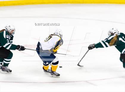 Thumbnail 1 in Notre Dame Academy vs. Canton (MIAA Division 2 Final) photogallery.