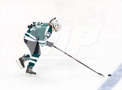 Thumbnail 1 in Notre Dame Academy vs. Canton (MIAA Division 2 Final) photogallery.