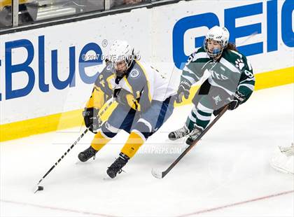 Thumbnail 1 in Notre Dame Academy vs. Canton (MIAA Division 2 Final) photogallery.