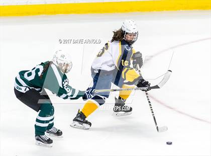 Thumbnail 3 in Notre Dame Academy vs. Canton (MIAA Division 2 Final) photogallery.