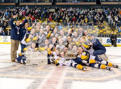 Thumbnail 1 in Notre Dame Academy vs. Canton (MIAA Division 2 Final) photogallery.