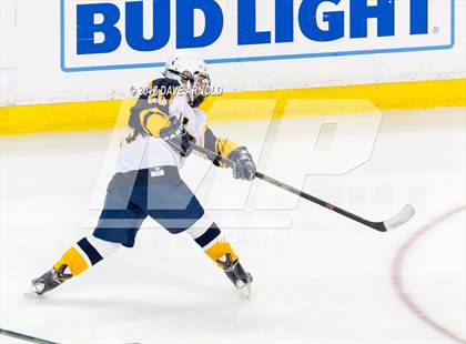 Thumbnail 1 in Notre Dame Academy vs. Canton (MIAA Division 2 Final) photogallery.