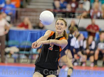 Thumbnail 1 in Otis vs. Flagler (CHSAA 1A Pool III) photogallery.