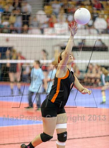 null - Photo 01