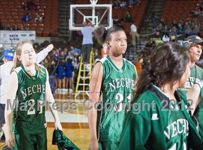 Thumbnail 1 in Lipan vs. Neches (UIL 1A Final) photogallery.