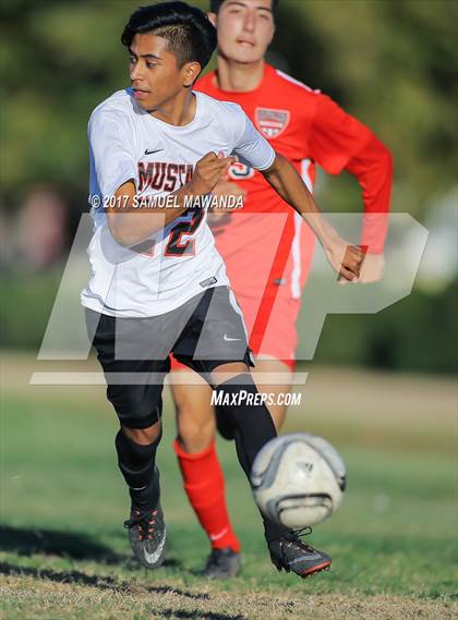 Thumbnail 1 in Cleveland @ Arleta photogallery.
