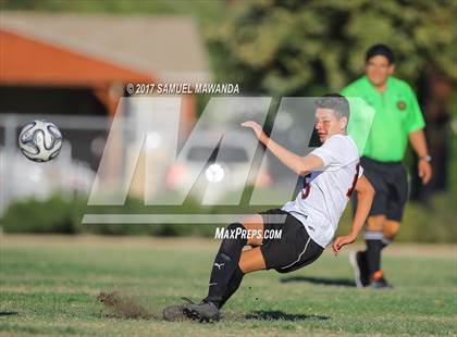 Thumbnail 3 in Cleveland @ Arleta photogallery.