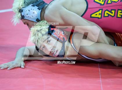 Thumbnail 2 in CIF State Boys Wrestling Championships (Consolation Round 2) photogallery.