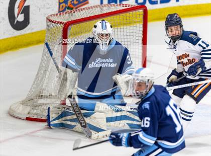 Thumbnail 3 in Powers Catholic vs Stevenson (MHSAA Division 2 State Final) photogallery.