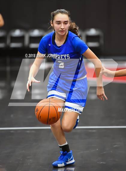 Thumbnail 1 in Campbell vs. La Jolla Country Day (Nike Tournament of Champions) photogallery.