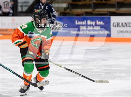 Thumbnail 2 in Hibbing @ Grand Rapids photogallery.