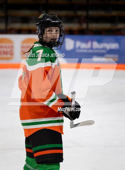 Thumbnail 1 in Hibbing @ Grand Rapids photogallery.