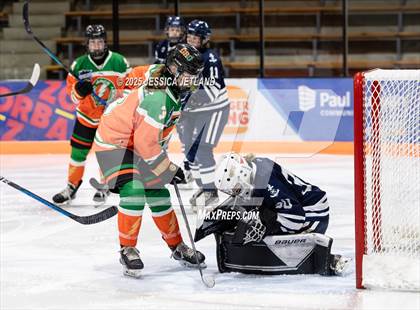 Thumbnail 2 in Hibbing @ Grand Rapids photogallery.