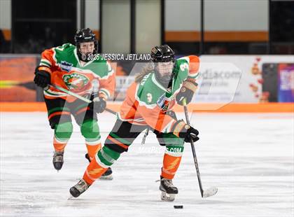 Thumbnail 2 in Hibbing @ Grand Rapids photogallery.