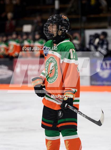 Thumbnail 1 in Hibbing @ Grand Rapids photogallery.