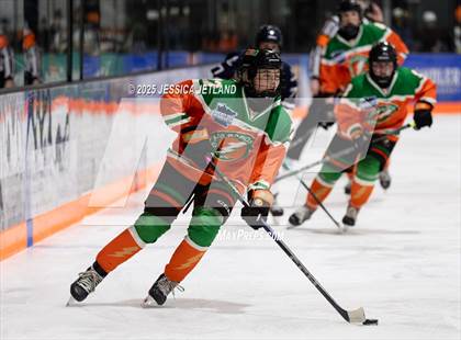 Thumbnail 3 in Hibbing @ Grand Rapids photogallery.