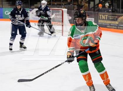 Thumbnail 2 in Hibbing @ Grand Rapids photogallery.