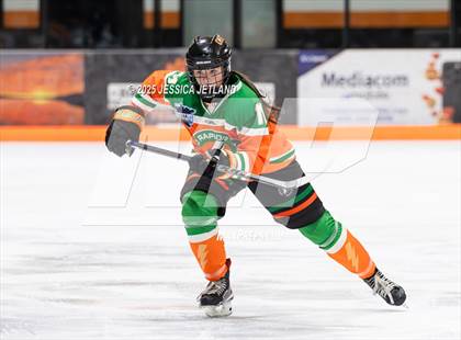 Thumbnail 1 in Hibbing @ Grand Rapids photogallery.