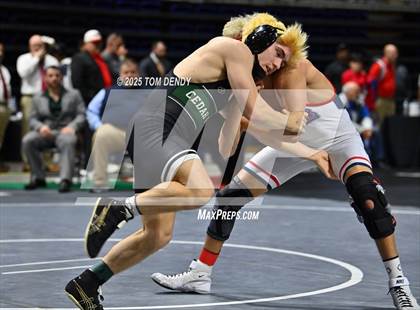 Thumbnail 3 in UIL Wrestling 5A-6A Finals (3rd-5th Place Bouts) photogallery.