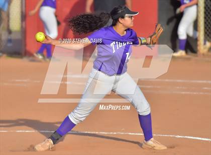 Thumbnail 1 in Millennium @ Williams Field photogallery.