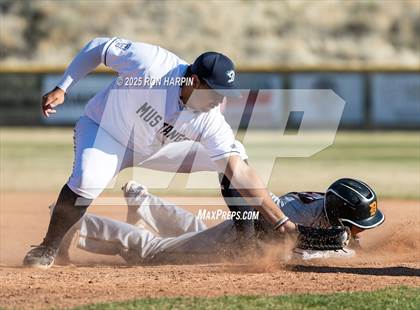 Thumbnail 2 in Douglas @ Damonte Ranch photogallery.