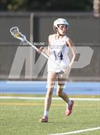 Photo from the gallery "Sequoia @ Carlmont"