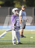 Photo from the gallery "Sequoia @ Carlmont"