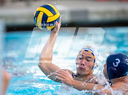 Thumbnail 2 in Terra Linda @ Marin Catholic photogallery.