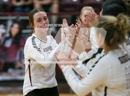 Thumbnail 3 in Springtown @ Bridgeport photogallery.