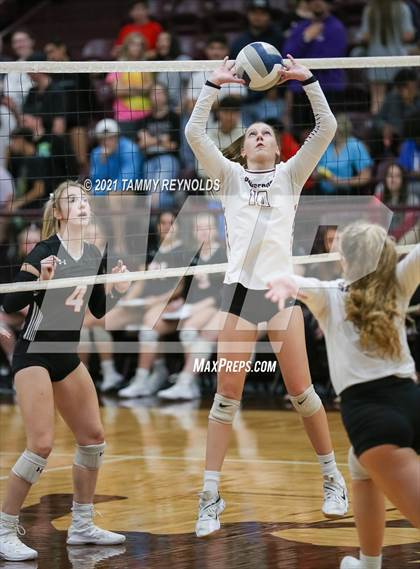 Thumbnail 3 in Springtown @ Bridgeport photogallery.