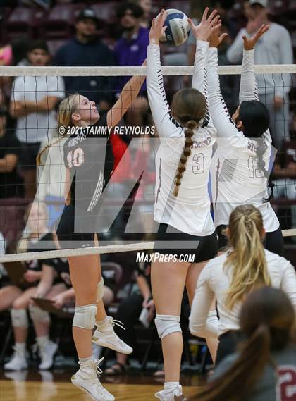 Thumbnail 2 in Springtown @ Bridgeport photogallery.
