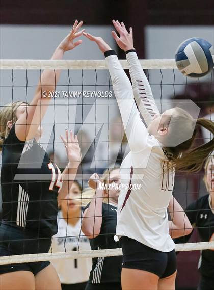 Thumbnail 1 in Springtown @ Bridgeport photogallery.