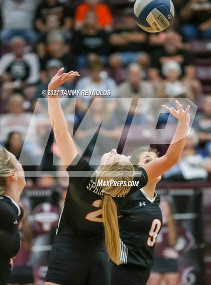 Thumbnail 1 in Springtown @ Bridgeport photogallery.