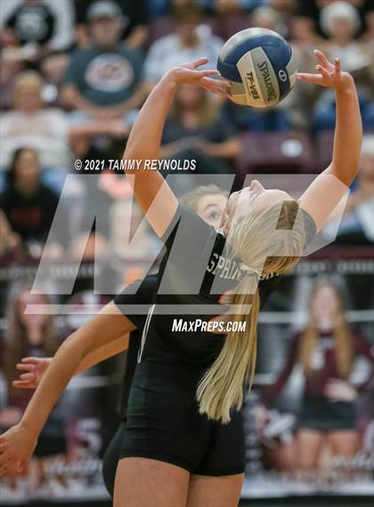 Thumbnail 2 in Springtown @ Bridgeport photogallery.