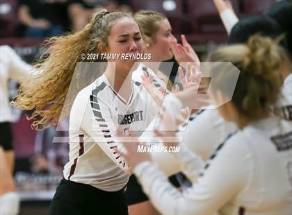 Thumbnail 2 in Springtown @ Bridgeport photogallery.